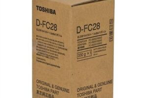 Developer Magenta e-Studio 202