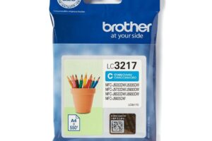 initial Setup Ink Cyan LC3217C