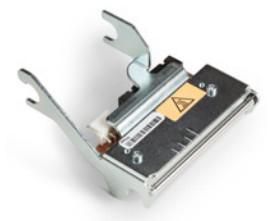 Printhead, 2in, 203dpi