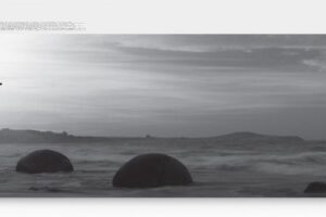 Black Toner f CLP-360/CLP-365