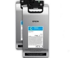 Ultrachrome Rs Ink Cartridge