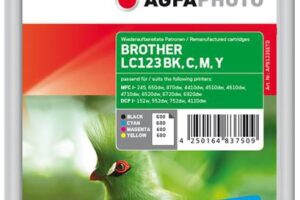 Ink B/C/M/Y rpl LC123VALBPDR