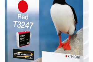 HI-GLOSS2 T3247 PUFFIN