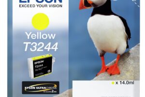 HI-GLOSS2 T3244 PUFFIN