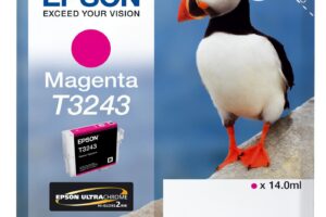 HI-GLOSS2 T3243 PUFFIN