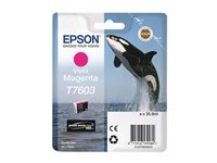 EPSON T7603 ink cartridge vivid magenta