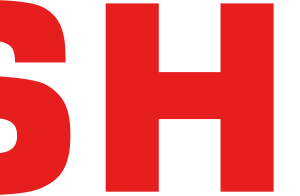 Toshiba SD Card N502 - Secure Digital