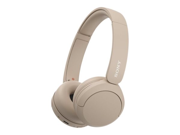 SONY WH-CH520 Headphones with mic on-ear
