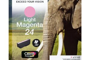 T2426 Light Magenta Ink