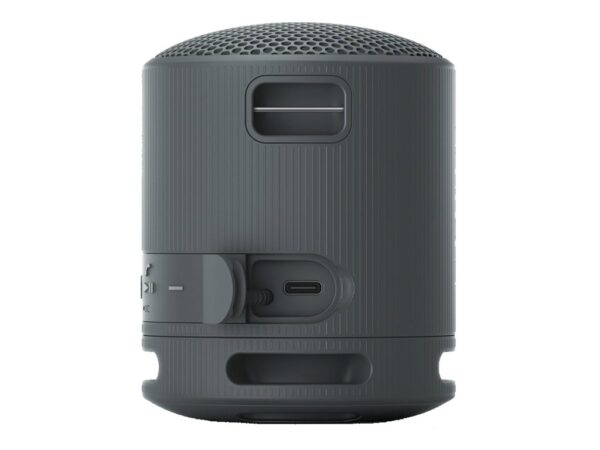 SONY SRSXB100B.CE7 trådløs høyttaler Sort