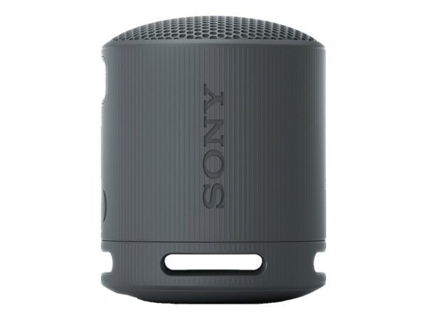 SONY SRSXB100B.CE7 trådløs høyttaler Sort