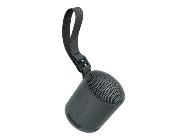 SONY SRSXB100B.CE7 trådløs høyttaler Sort