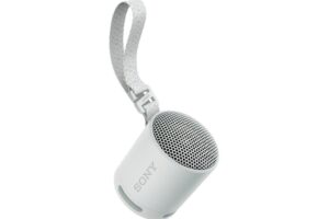 SONY SRSXB100H.CE7 trådløs høyttaler Grå