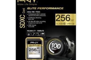 PNY SDXC 256GB ELITE PERF. CLASS10
