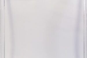 eSTUFF LONDON iPhone 12/12 Pro Clear