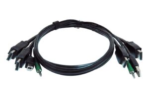 Black Box 6 ft KVM USB Dual DisplayPort