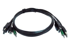 Black Box 6 ft KVM USB DisplayPort