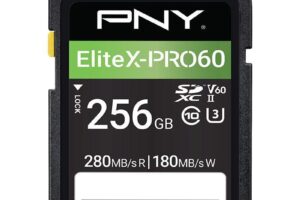 PNY Elitex-Pro60 256 Gb Sdxc