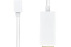 ProXtend USB-C to DisplayPort Cable