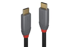 Lindy 0.5M Usb 3.2 Type C Cable, 5A