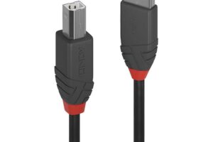 Lindy 0.2M Usb 2.0 Type A To B