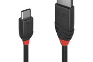 Lindy 0.5M Usb 3.2 Type A To C