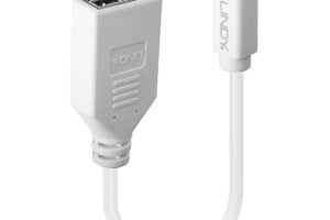 Lindy Adapter Cable Mini-Dp (M)/Dp