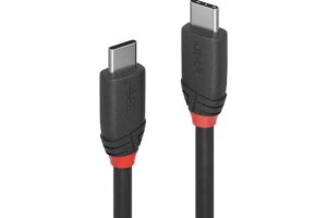 Lindy 0.5m USB 3.2  Type C to C