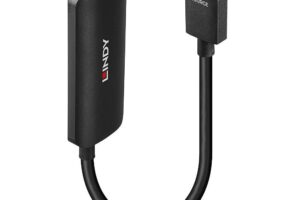 Lindy HDMI 8K60 to DisplayPort 1.4