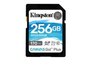 Kingston 256GB SDXC Canvas Go Plus