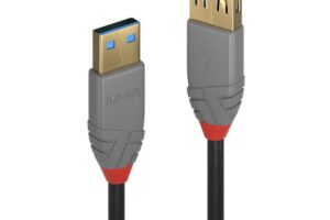 Lindy 1M Usb 3.2 Type A Extension