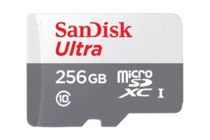 Sandisk 256GB ULTRA LITE WHITE/GRAY