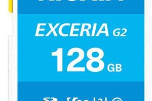 KIOXIA Exceria G2