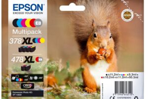 Squirrel Multipack 6-Colours
