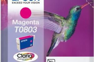 Hummingbird Singlepack