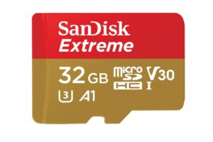 Sandisk microSDHC V30 A1