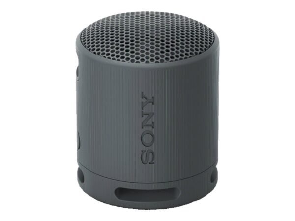 SONY SRSXB100B.CE7 trådløs høyttaler Sort
