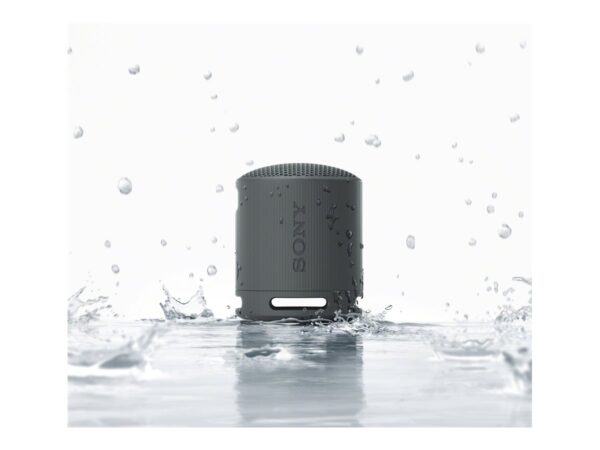 SONY SRSXB100B.CE7 trådløs høyttaler Sort
