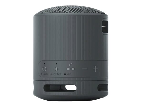 SONY SRSXB100B.CE7 trådløs høyttaler Sort
