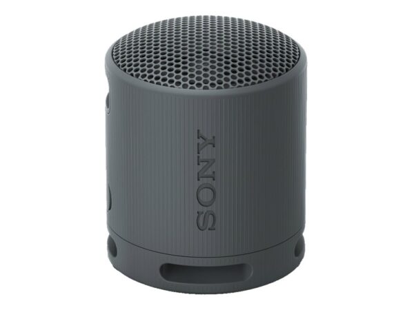 SONY SRSXB100B.CE7 trådløs høyttaler Sort