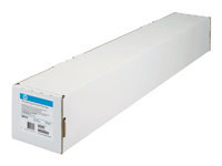HP Professional photo paper 24inch roll