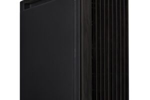 Asus Proart Pa602 Wood Edition -