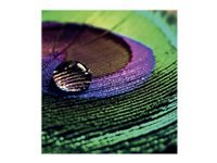 EPSON Production Photo Paper Semigloss