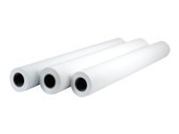 HP Professional Canvas Roll matte 42inch