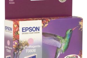 Hummingbird Singlepack Light