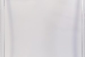 eSTUFF LONDON iPhone 12/12 Pro Clear