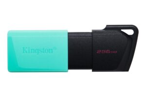 KINGSTON 256GB DataTraveler Exodia M
