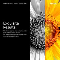 106R03394 toner cartridge - Bilde 44
