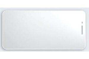 Capture Screen Protection for Eagle