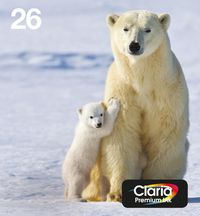 Polar Bear Multipack - Bilde 6